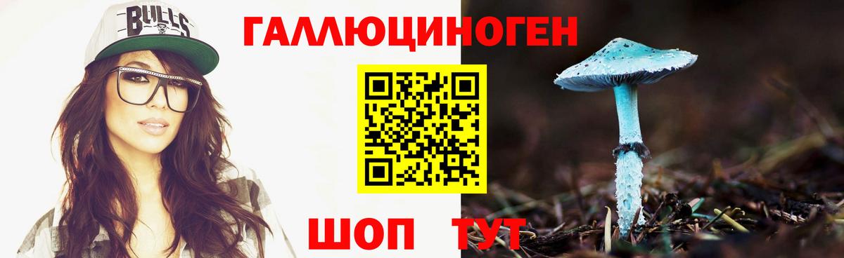 сколько стоит  Галлюциногенные грибы Psilocybe  Вход с VPN  Архангельск  Псилоцибиновые грибы GOLDEN TEACHER 